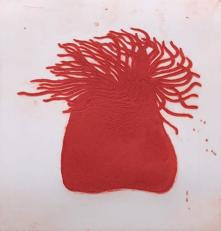 Kate Boxer, Anenome ed. 30