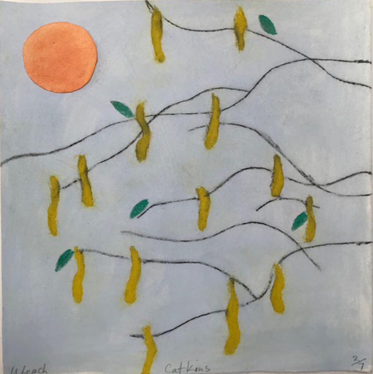 Ursula Leach (prints), Catkins ed. 7