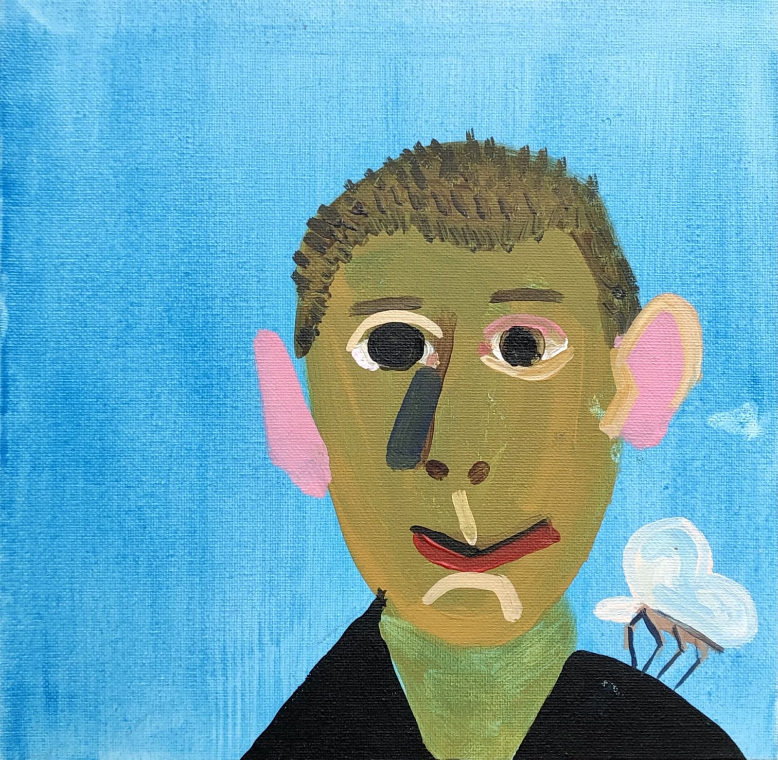 Matthew Batt, Hedgehog