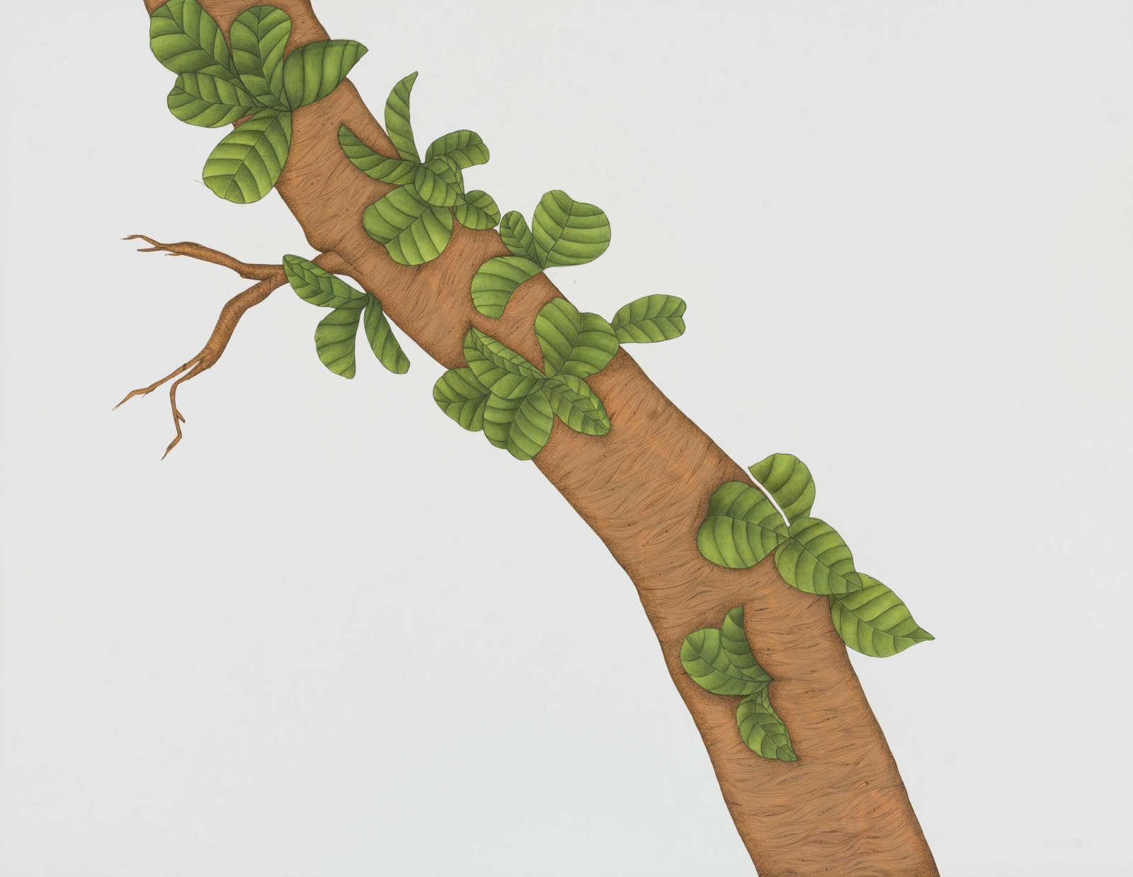 Maryam Baniasadi, Untitled, 2022