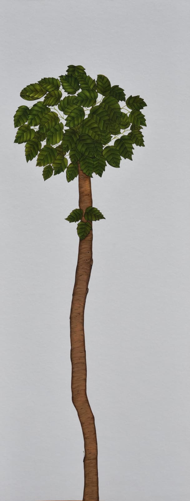Maryam Baniasadi, Untitled, 2021