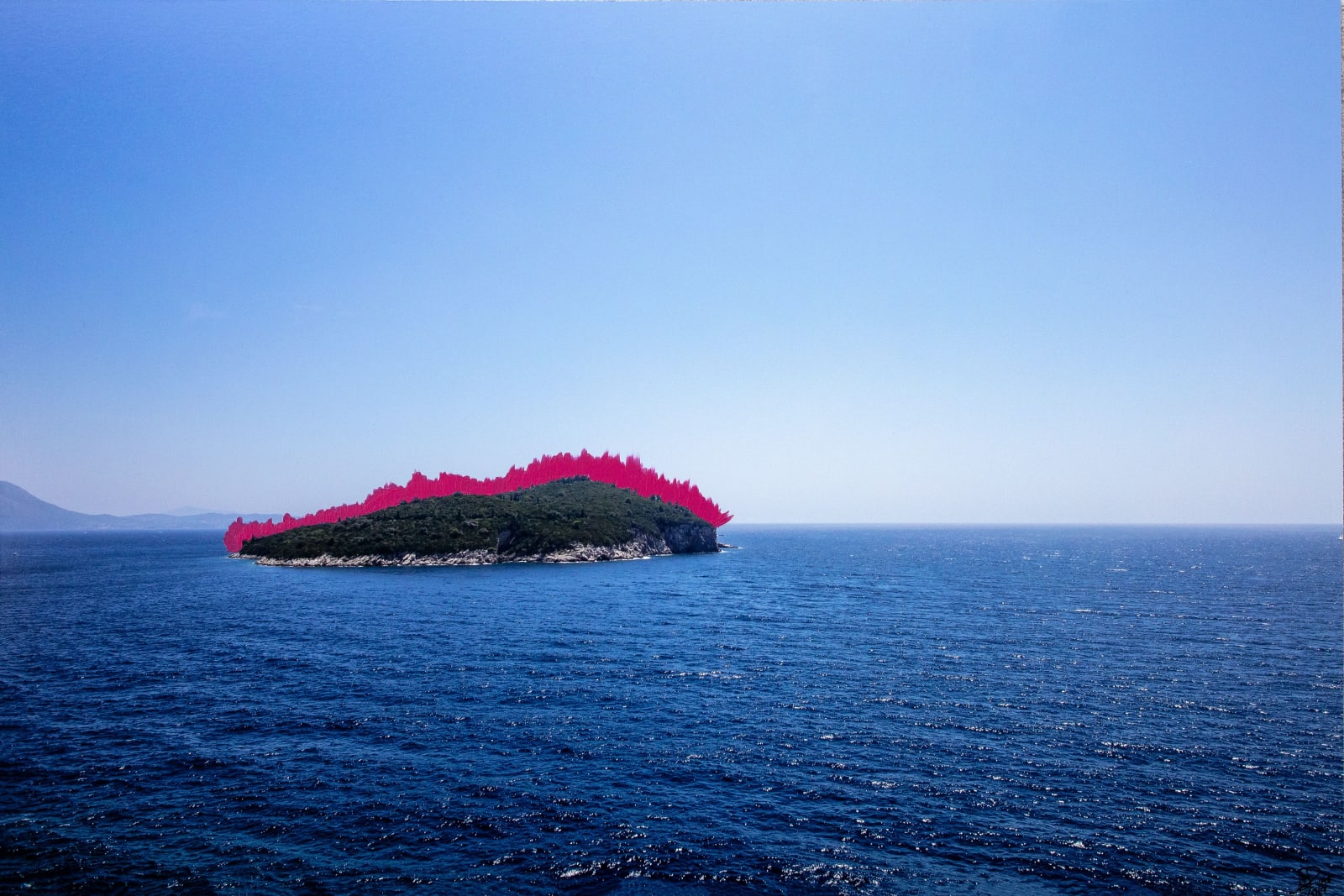 Magenta Island , 2019