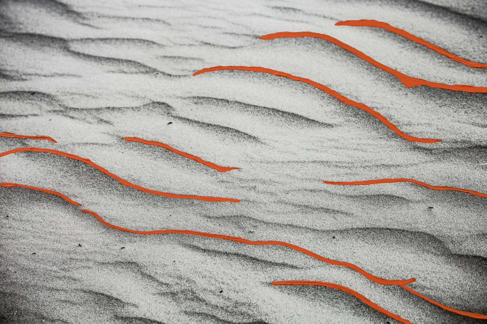 Desert Waves, 2020