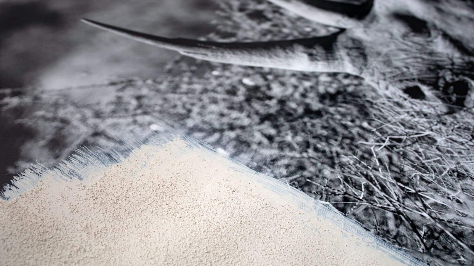 Ivory Dust , 2020