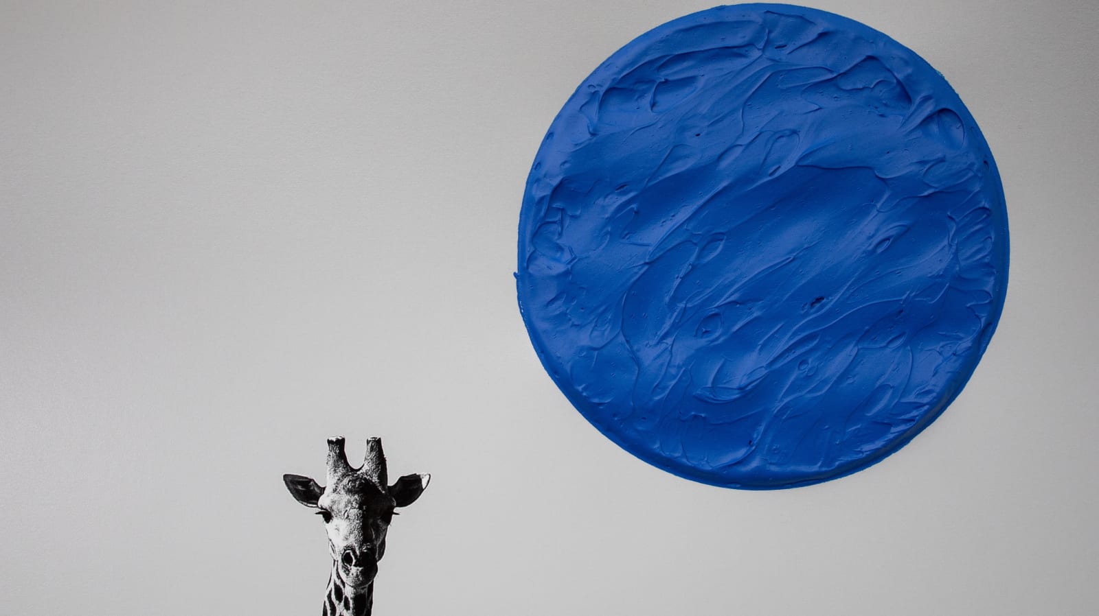 Blue Moon , 2020