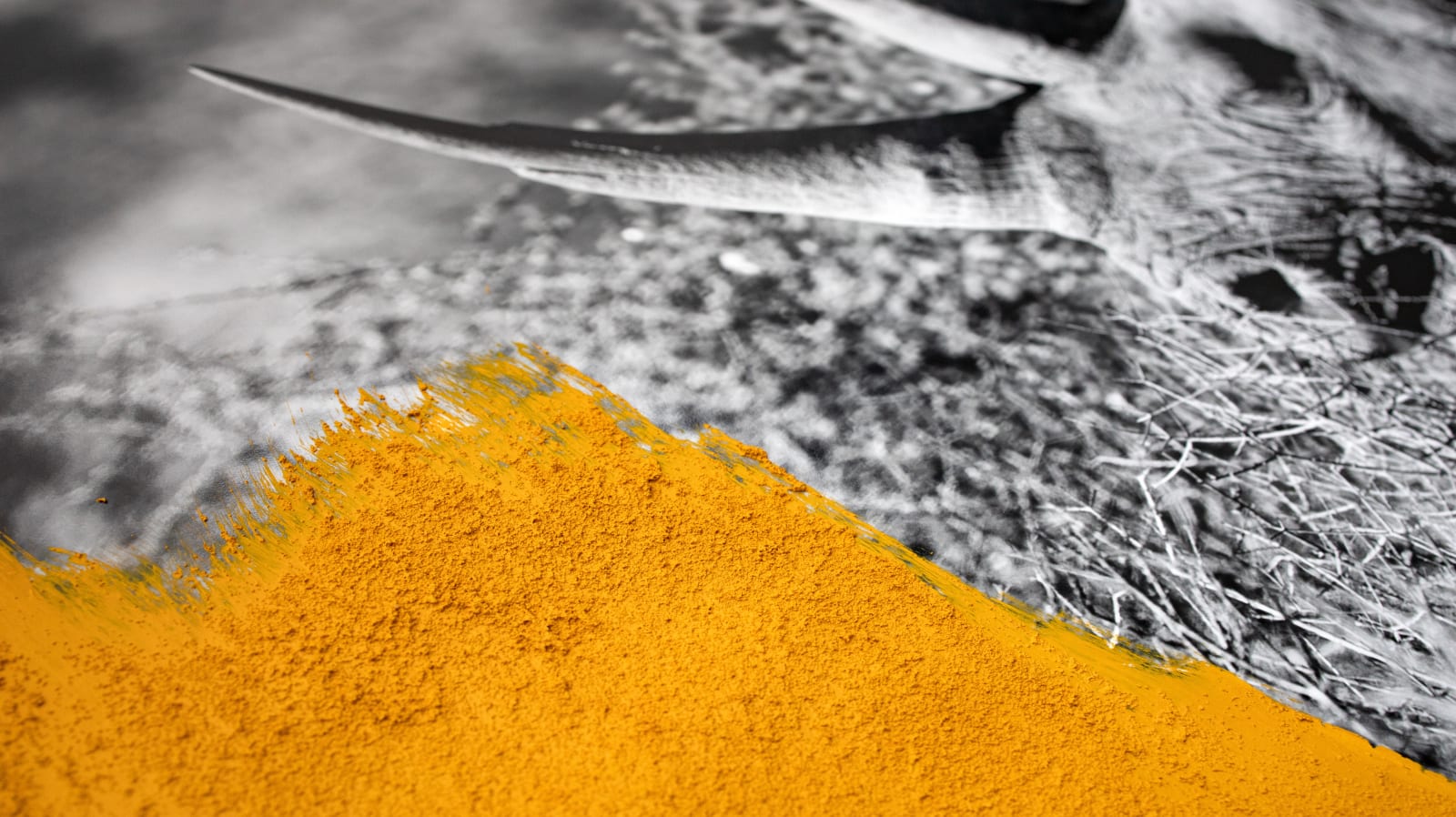 Ivory Yellow , 2020