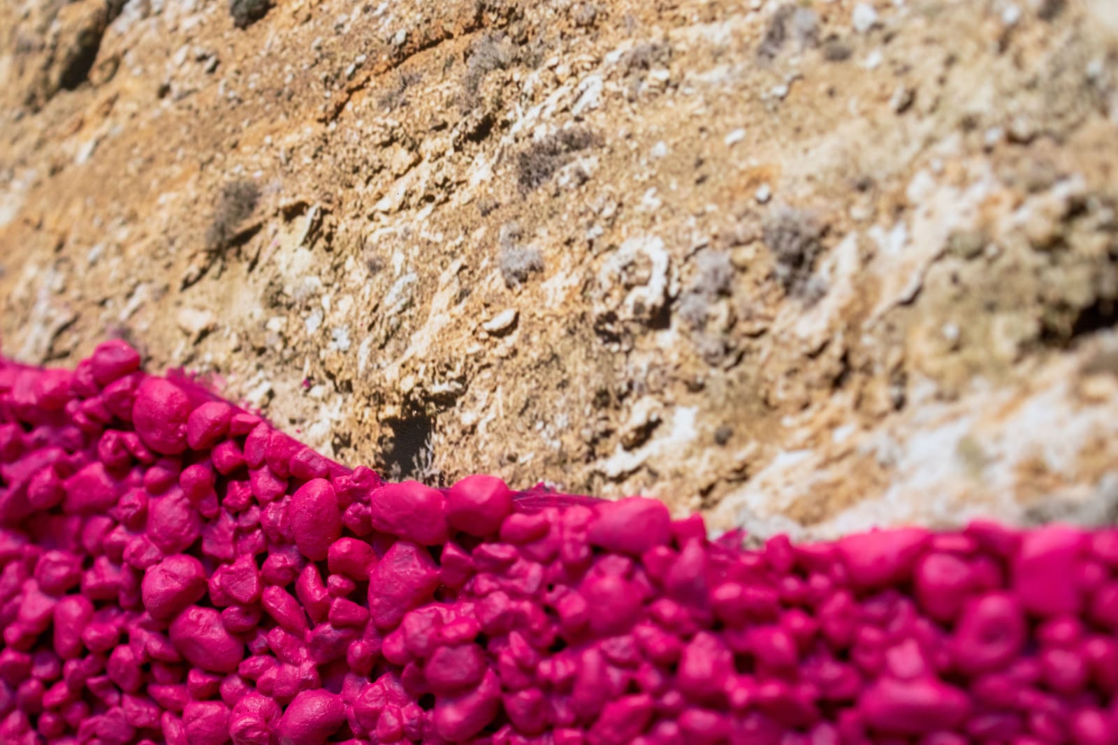Magenta River Dyes, 2022