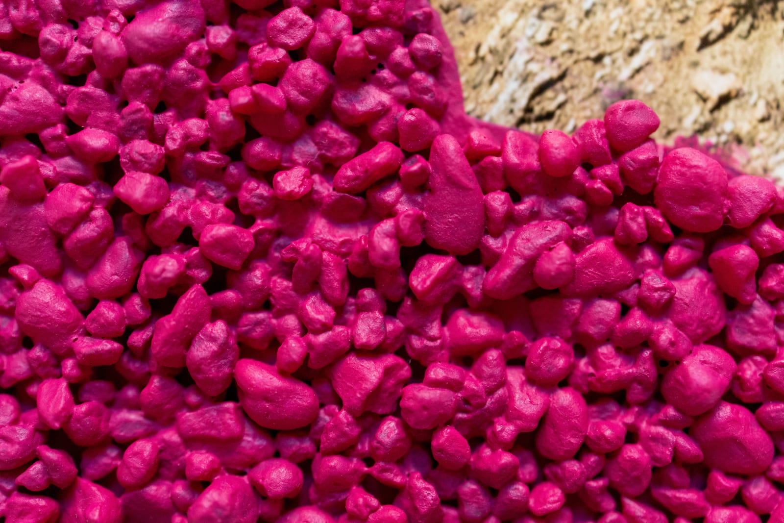 Magenta River Dyes, 2022