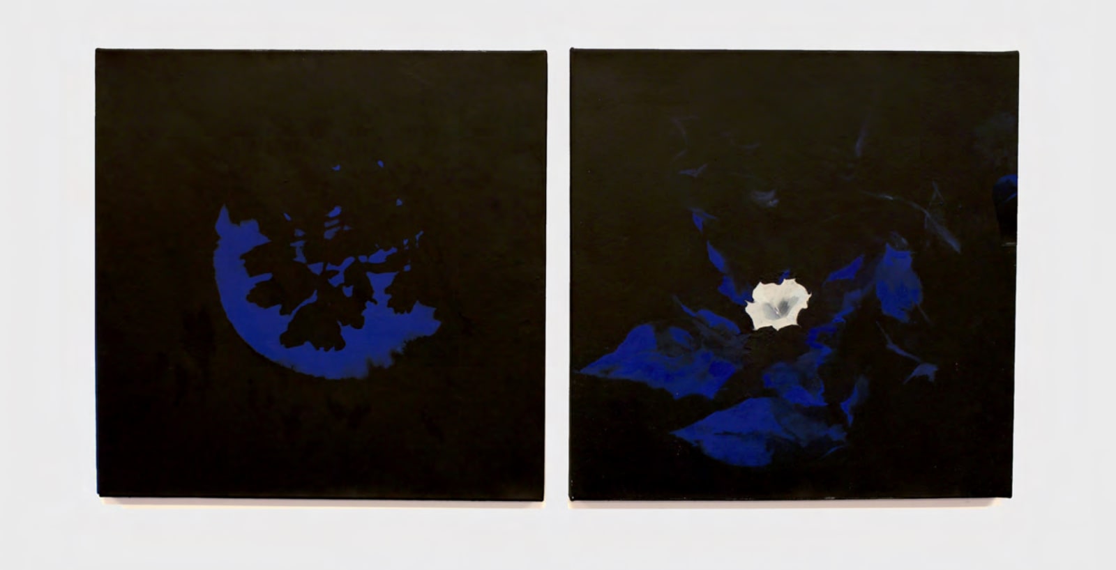Rachael Catharine Anderson, The Blue Hour Diptych, 2021