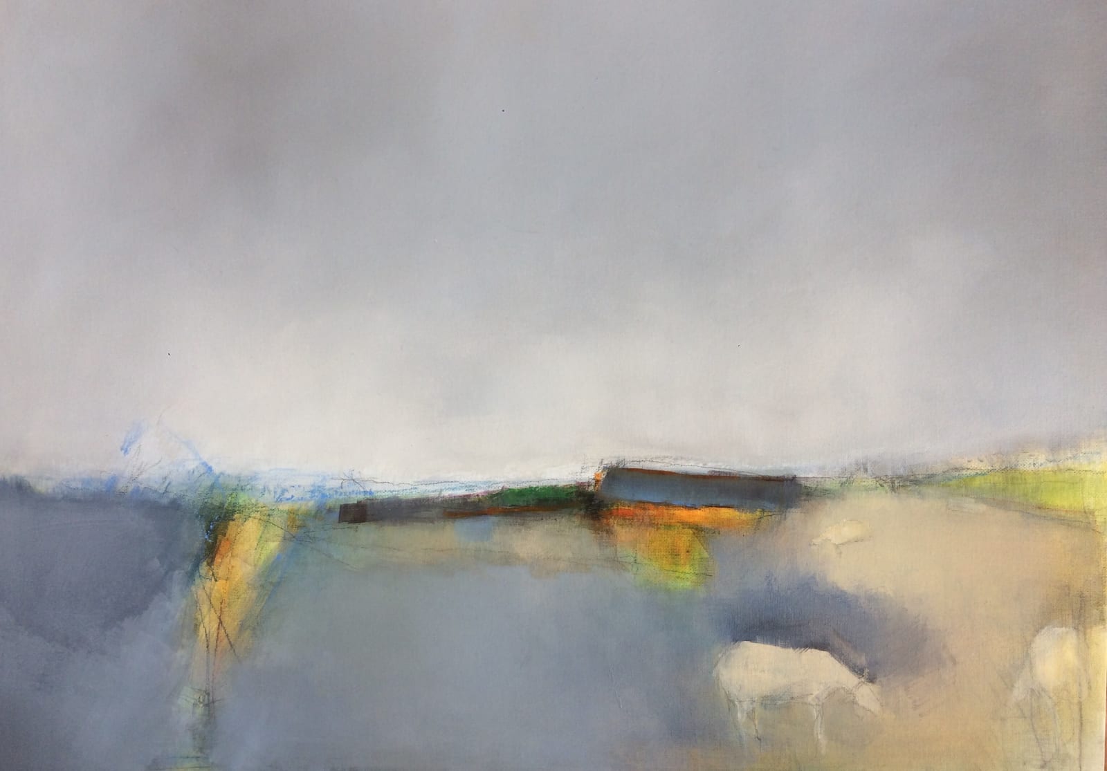 White Cows By Josephine Kelly.