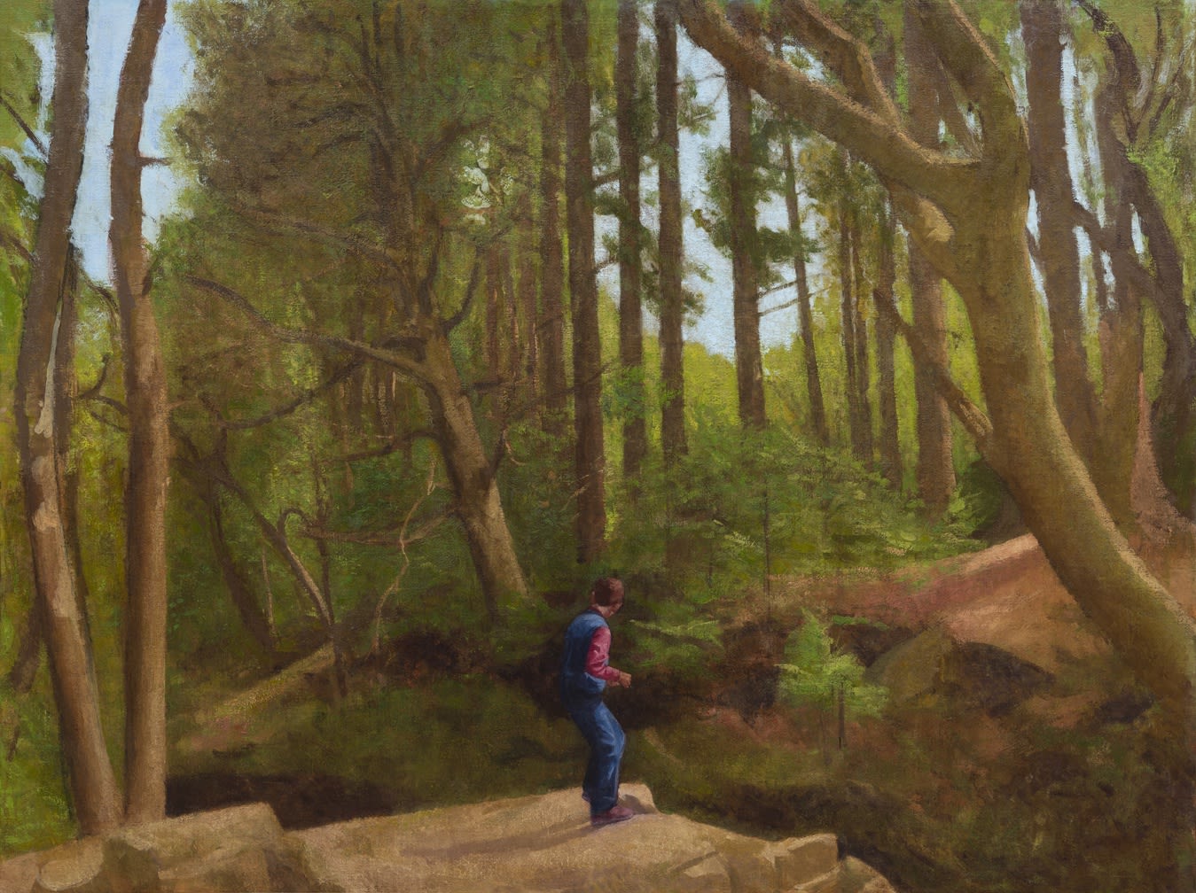 Forest Gully By Colin Watson