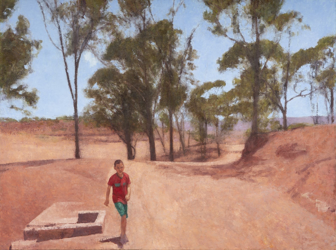 Walk from the Reservoir By Colin Watson