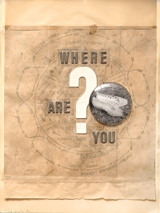 Jaume Plensa, Where are you? , 1995