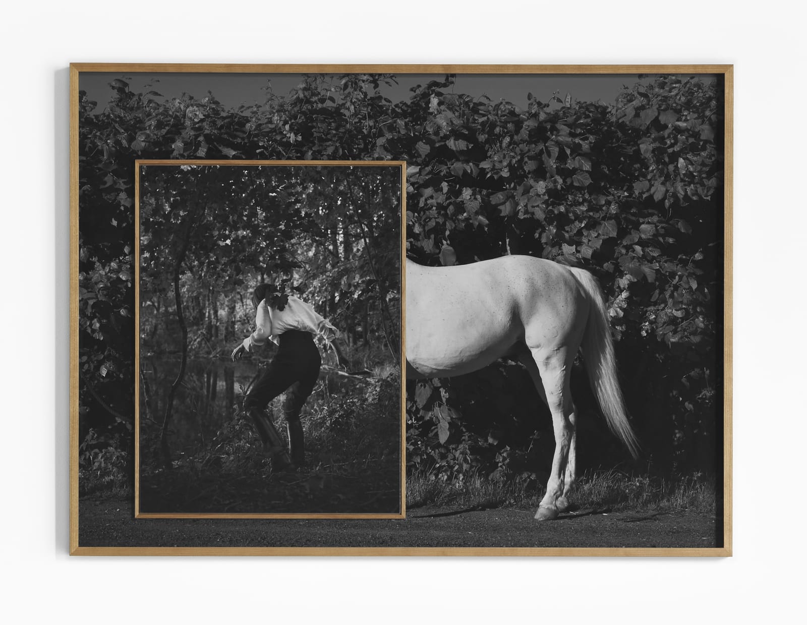 Anja Niemi, White Horse and The Lake, 2021