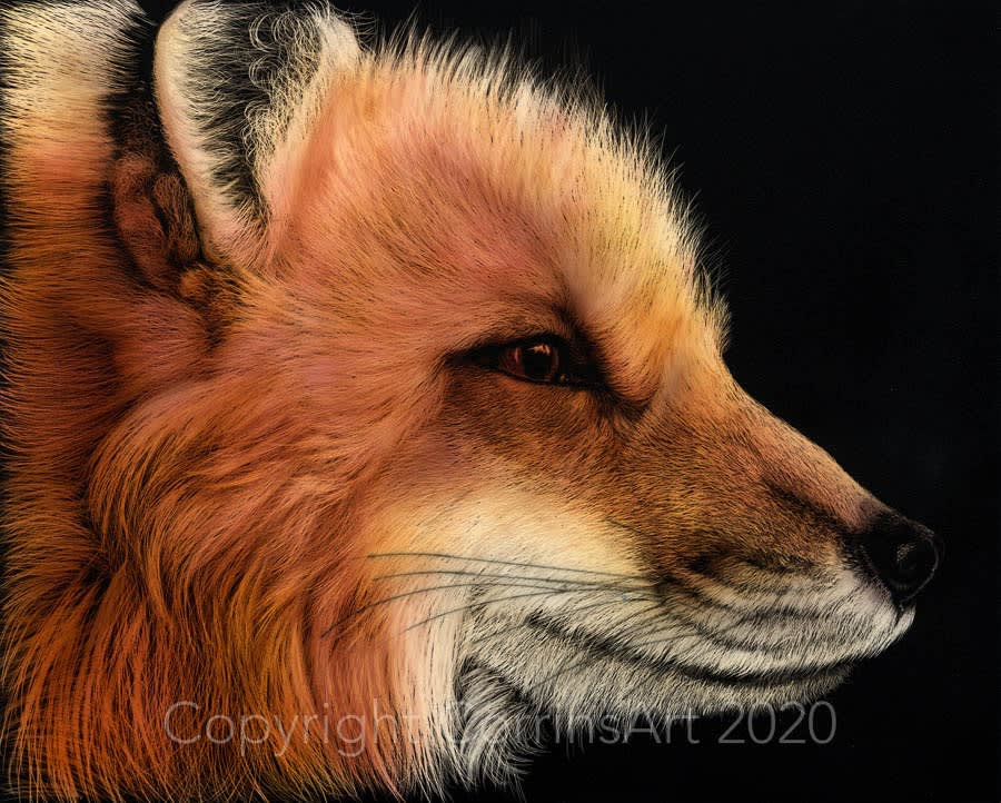 Image by Gordon Corrins