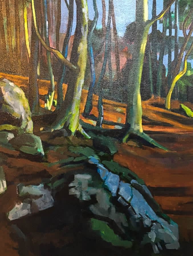 Bob Black, Sunlight Forest, 2024