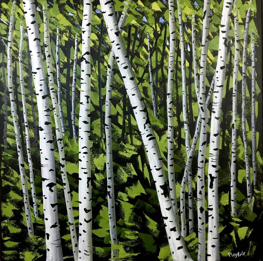 Rosie Playfair, Silver Birch Trees, 2024