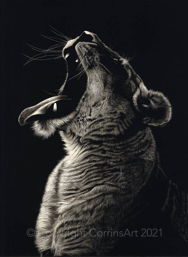 Gordon Corrins, Sy, 2023