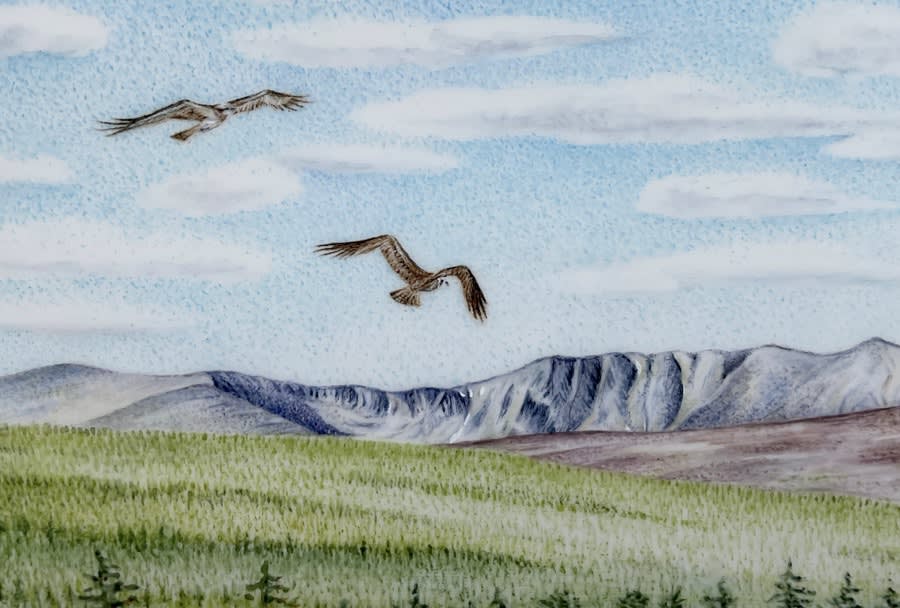 Jenny Musker, Ospreys over Deeside, 2025