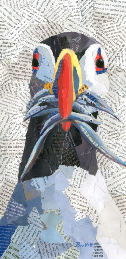 Puffin with Sand Eels