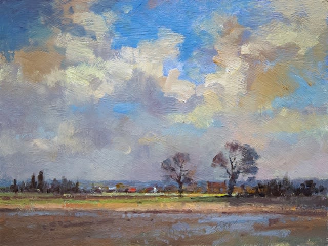 Flooded fields at Marshside