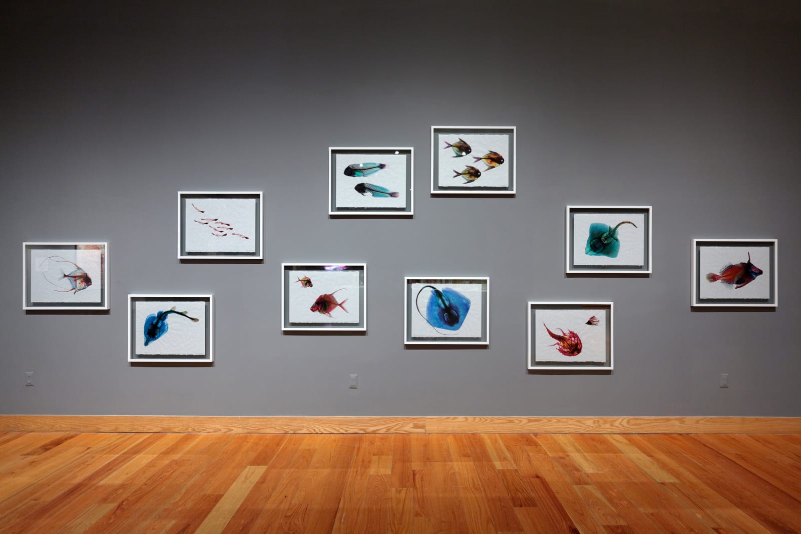 Ghosts of the Gulf, 2014 (installation view)