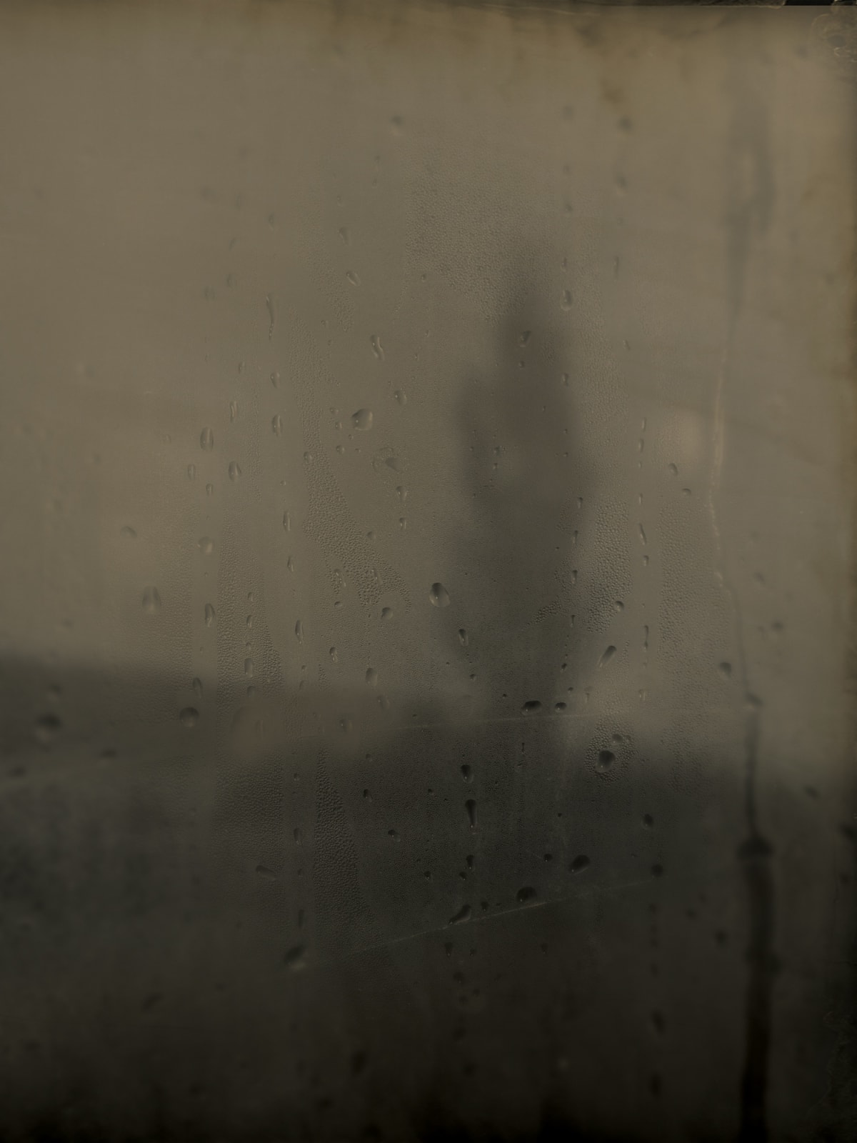 Landscape 12211, 2011