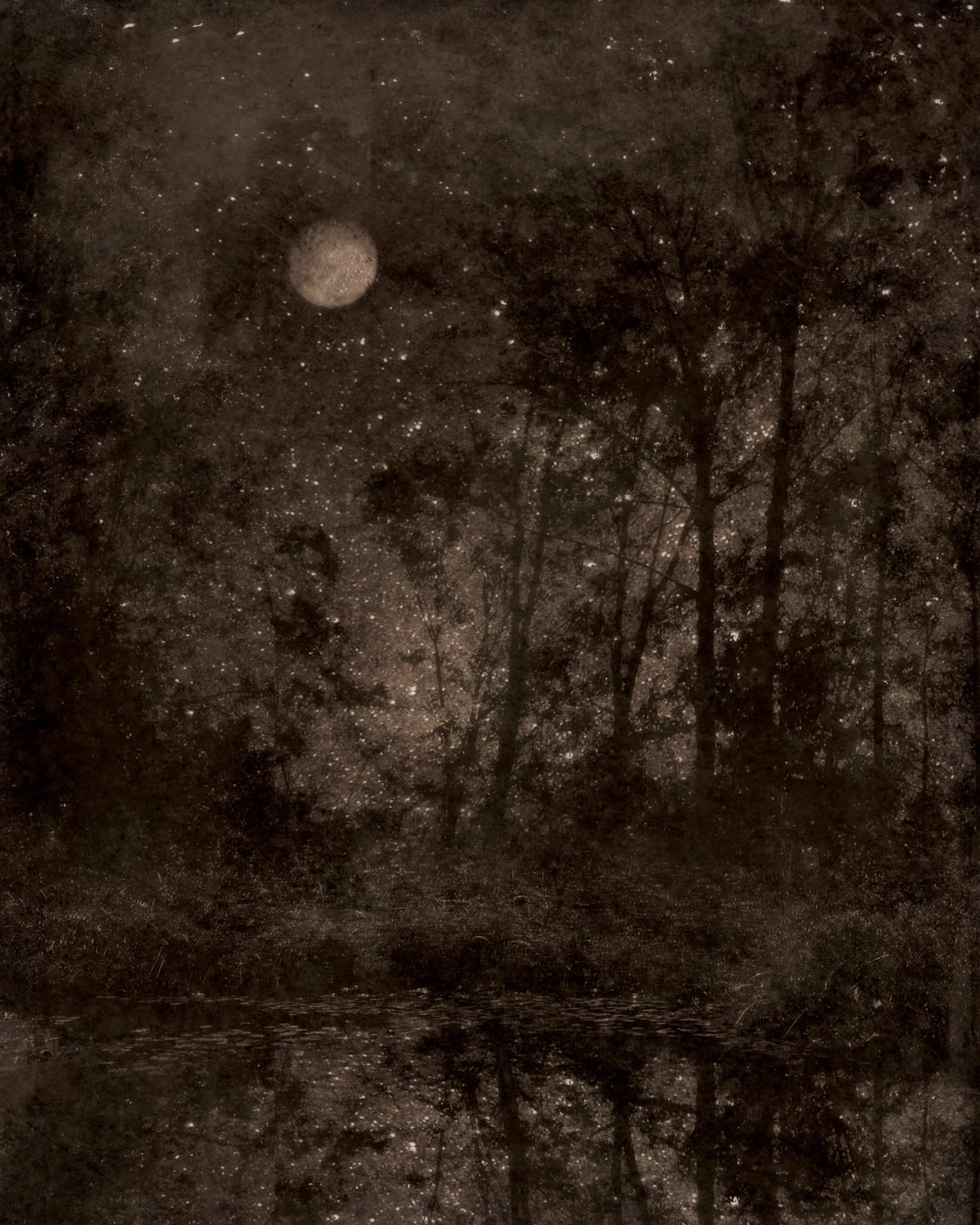Nocturnal Landscape 108, 2013