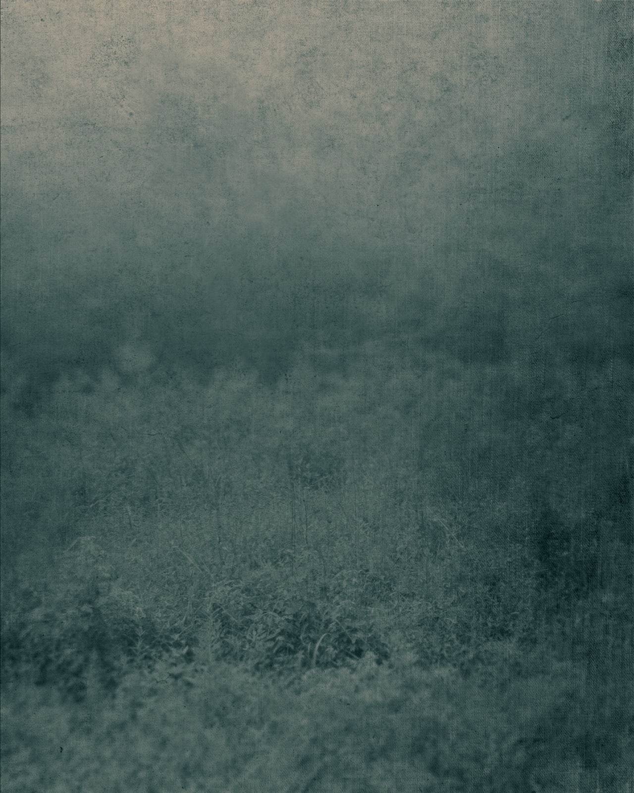 Ted Kincaid, Early Morning 318, 2015