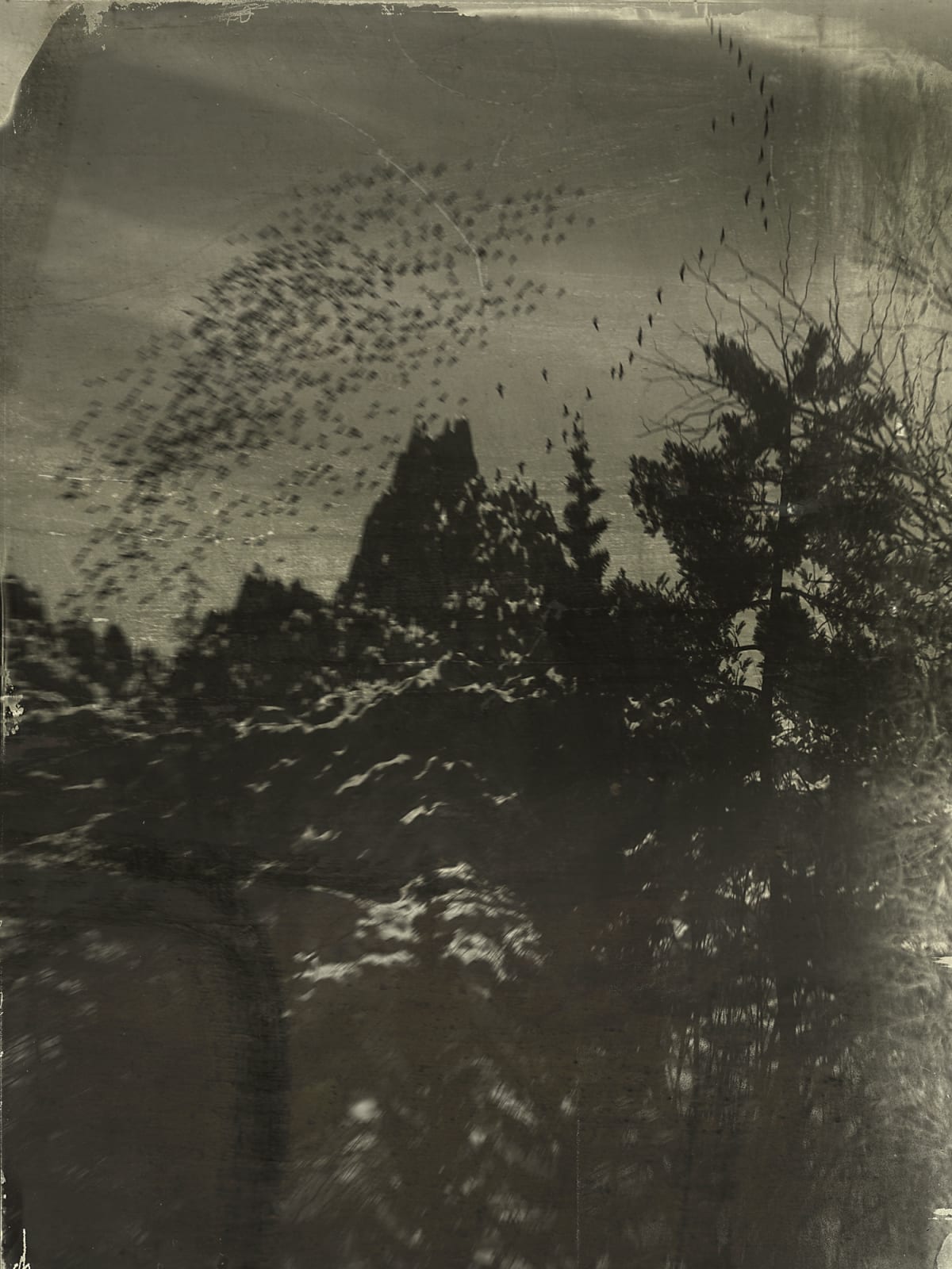 Mountains 79, 2010