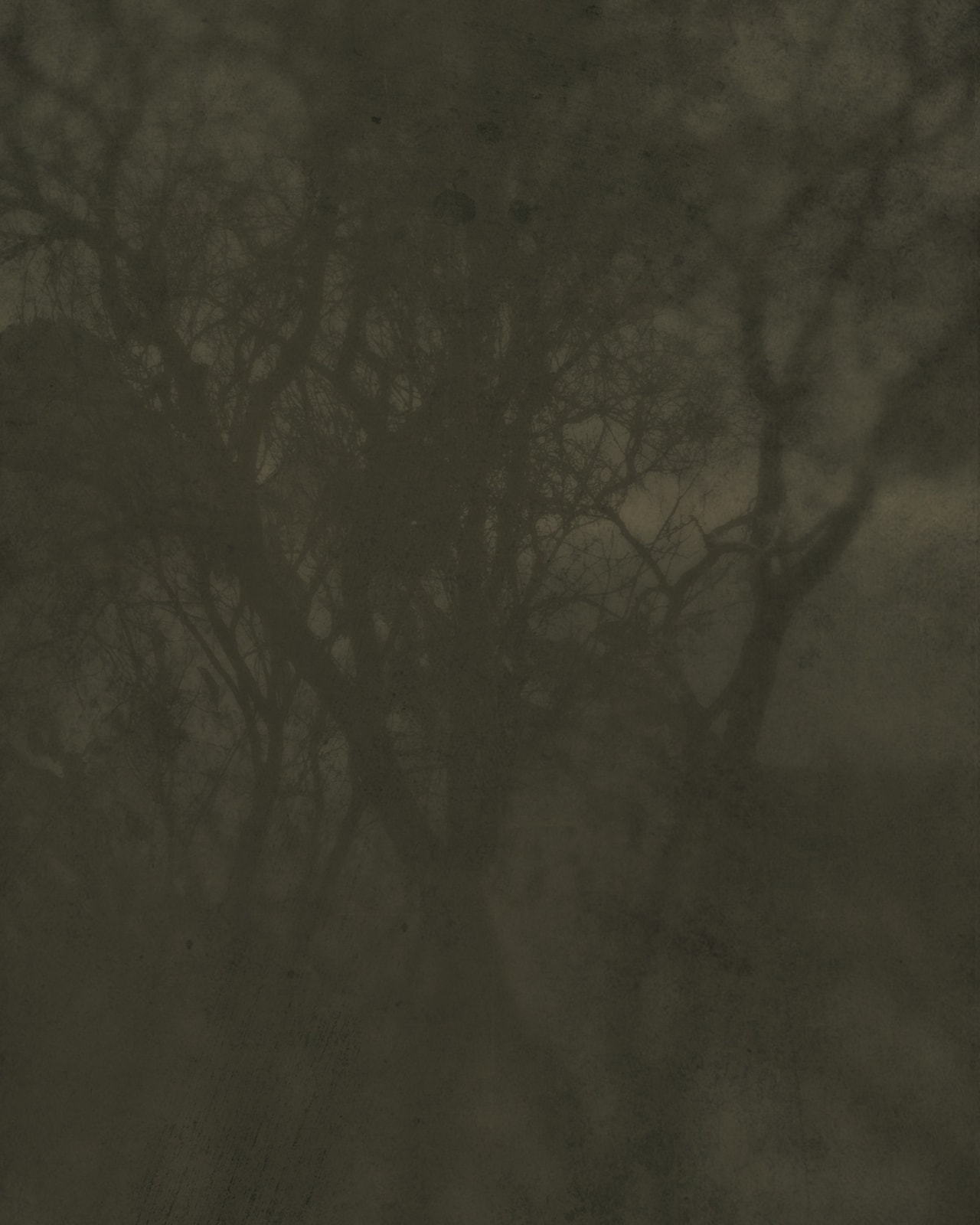 Winter 1127, 2011