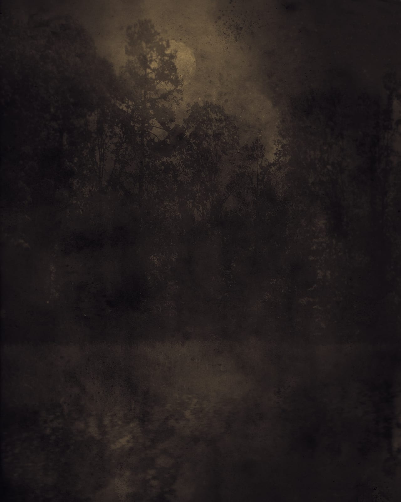 Ted Kincaid, Nocturnal Landscape 812, 2015