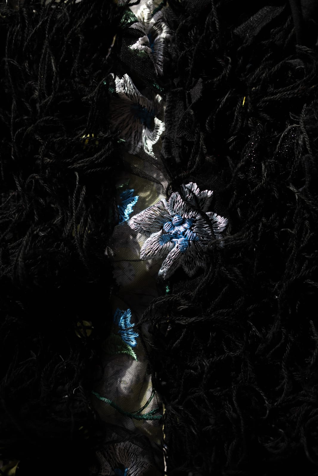 Georgina Maxim, Infinite Variety...Velvet Paws, 2021