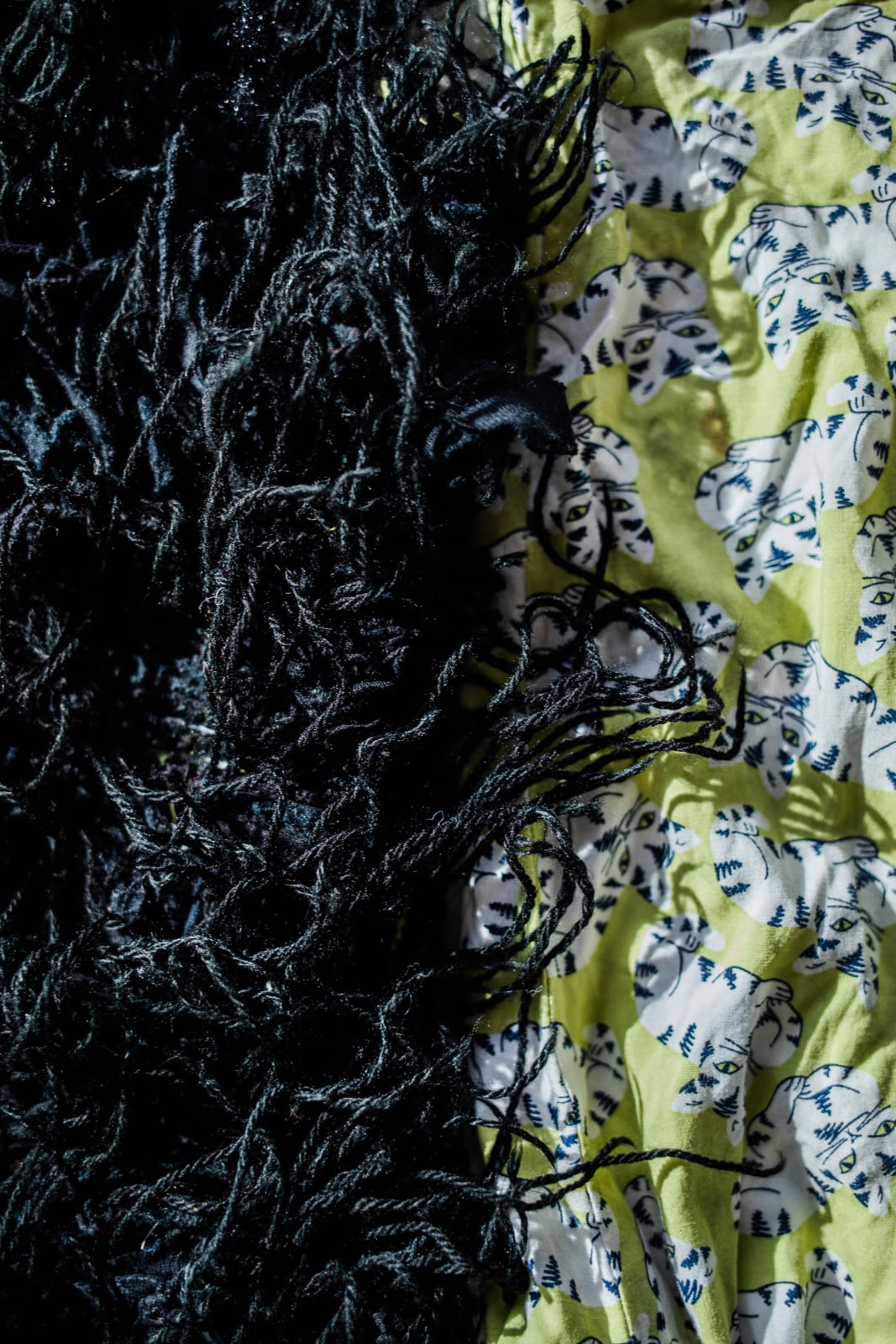 Georgina Maxim, Infinite Variety...Velvet Paws, 2021