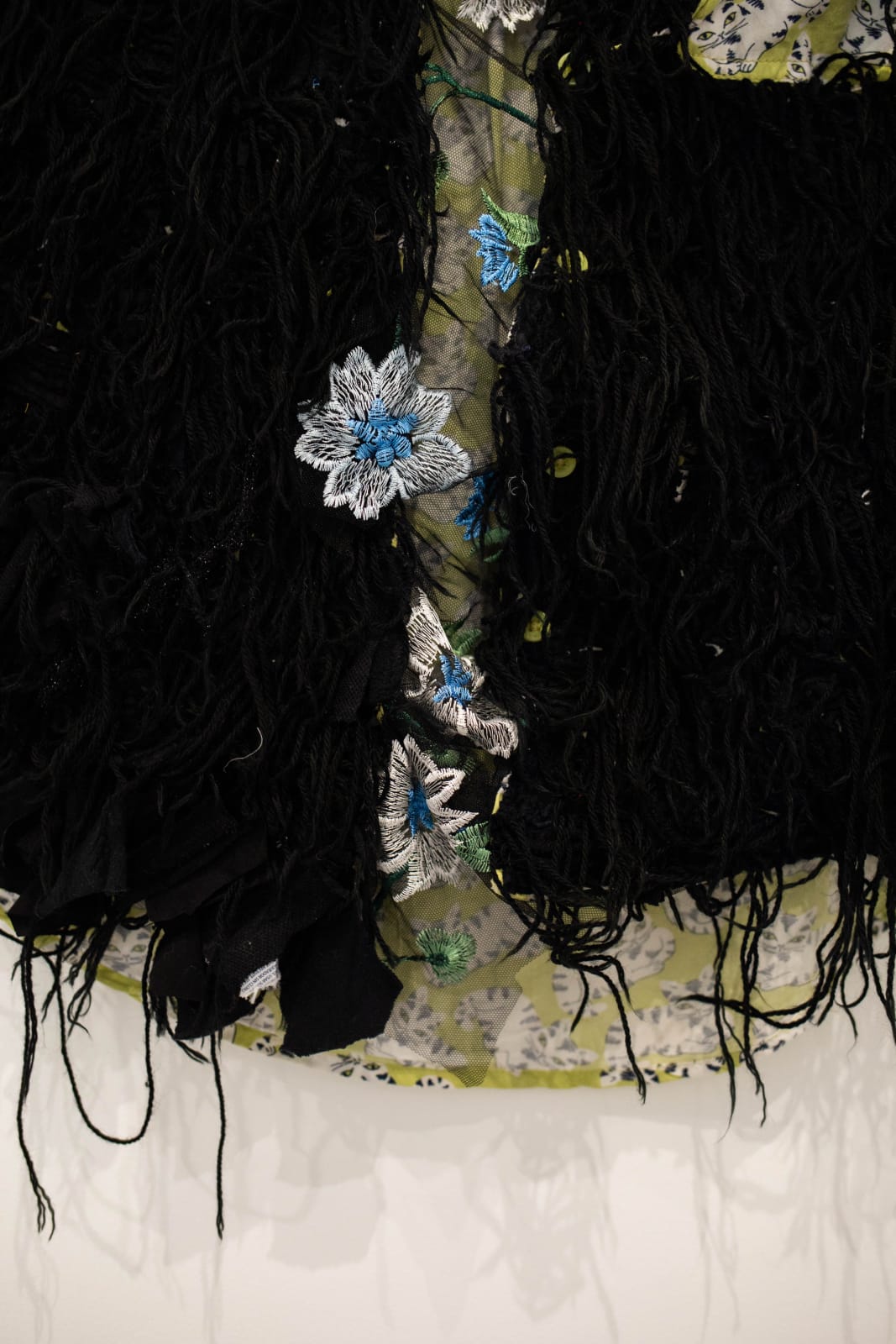 Georgina Maxim, Infinite Variety...Velvet Paws, 2021
