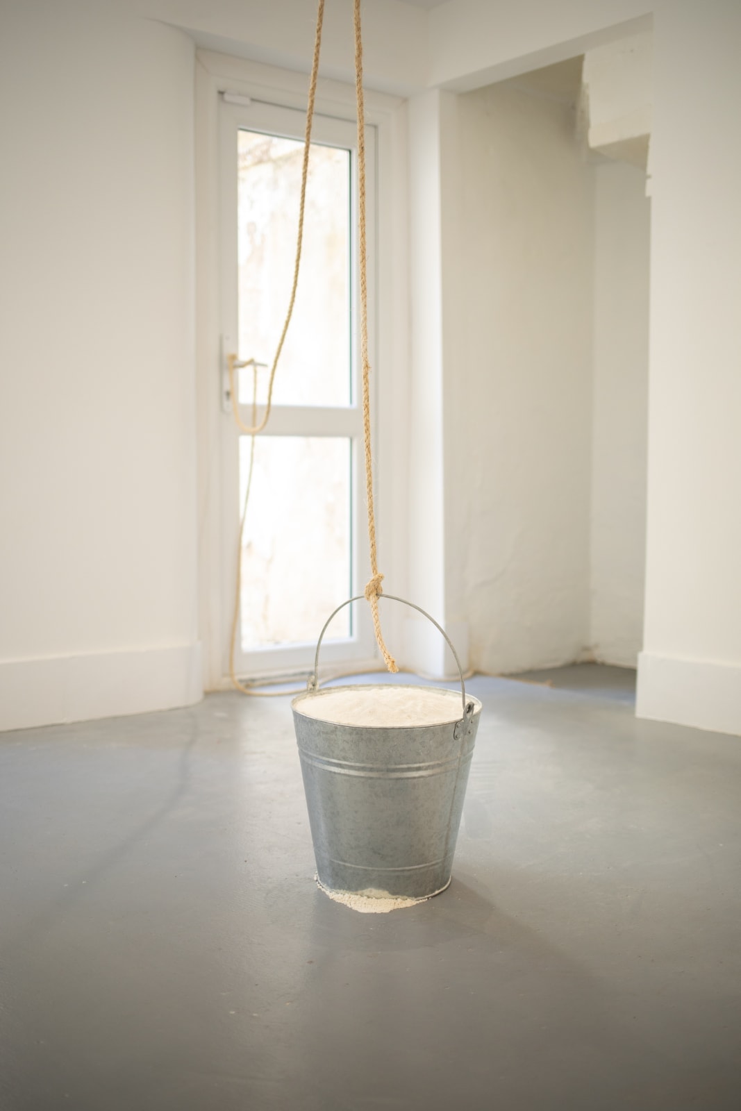Calum Louis Adams, Untitled (Sneck), 2022