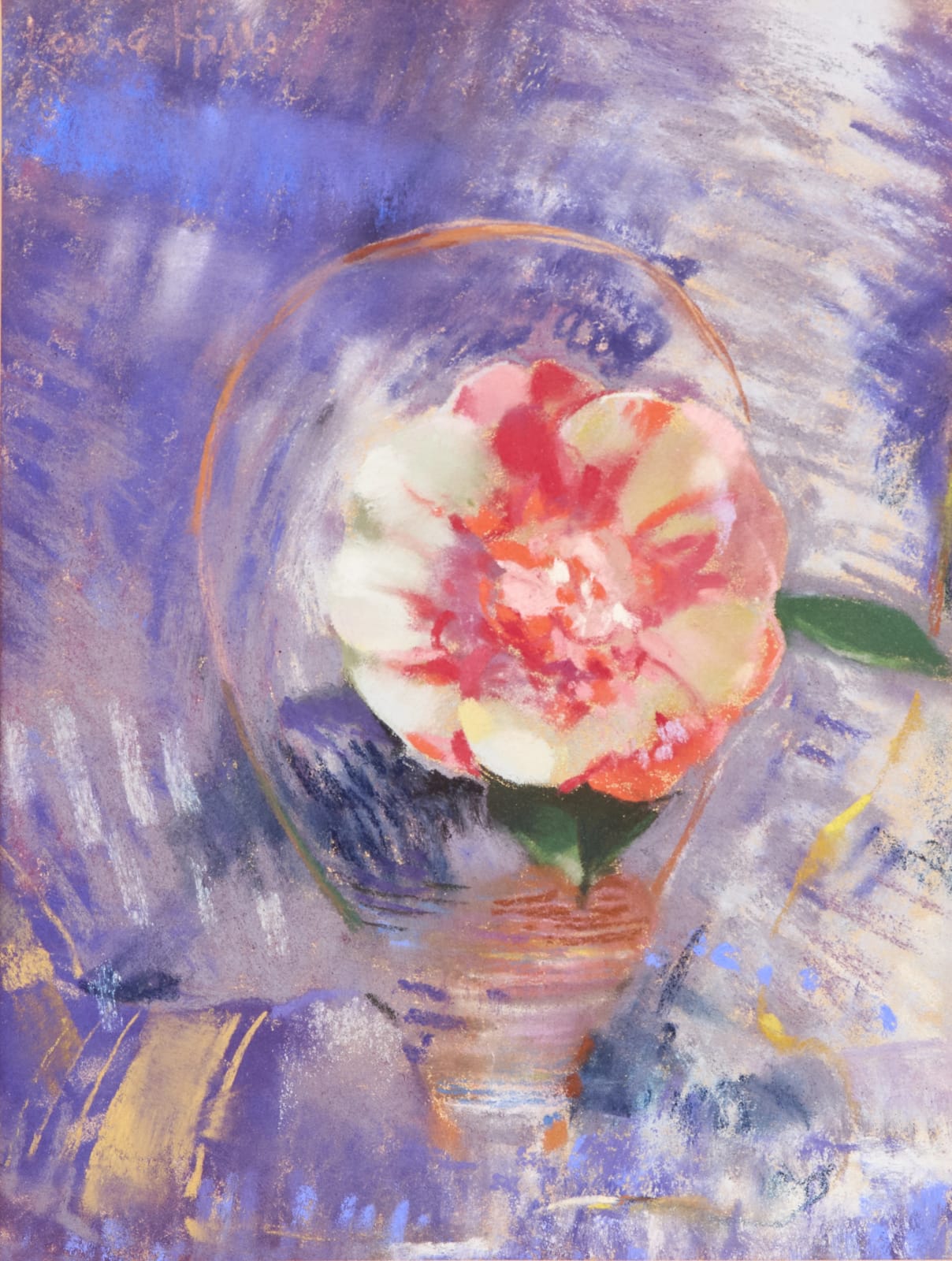 Laura Coombs Hills, Red and White Camelia