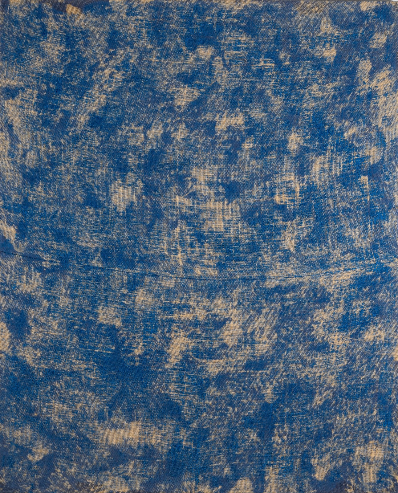 Evan Nesbit, Porosity (Blood Cells), 2014