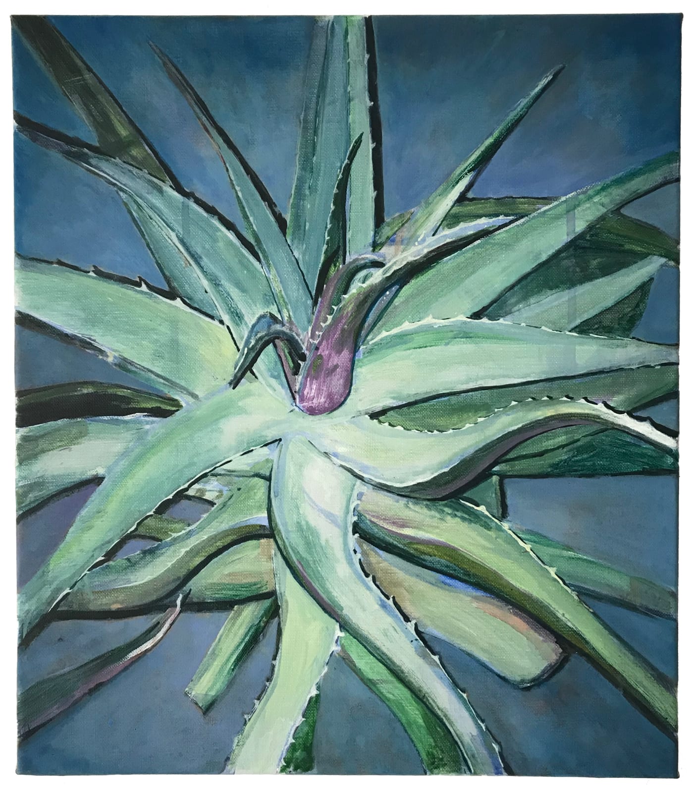 Arjan van Helmond, Green aloë vera #1, 2019