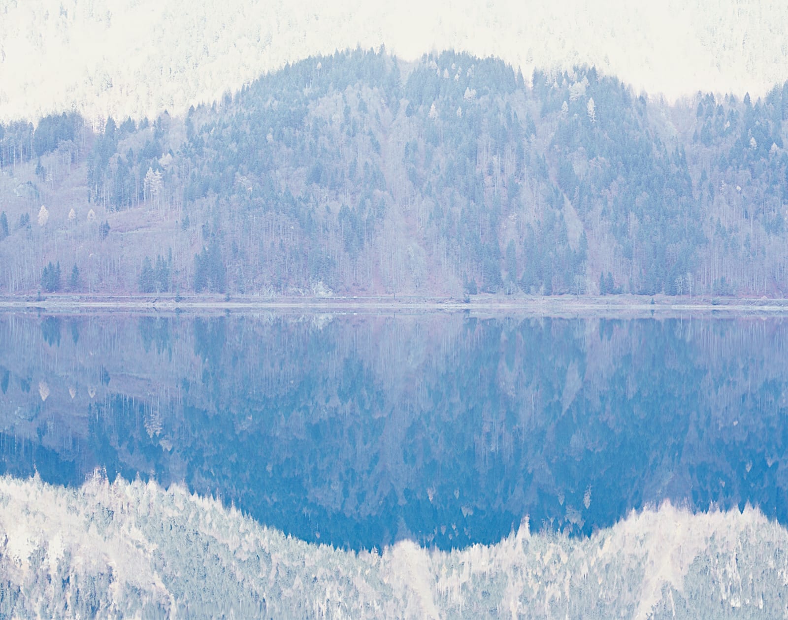 Misha de Ridder, Riettürli, 2009