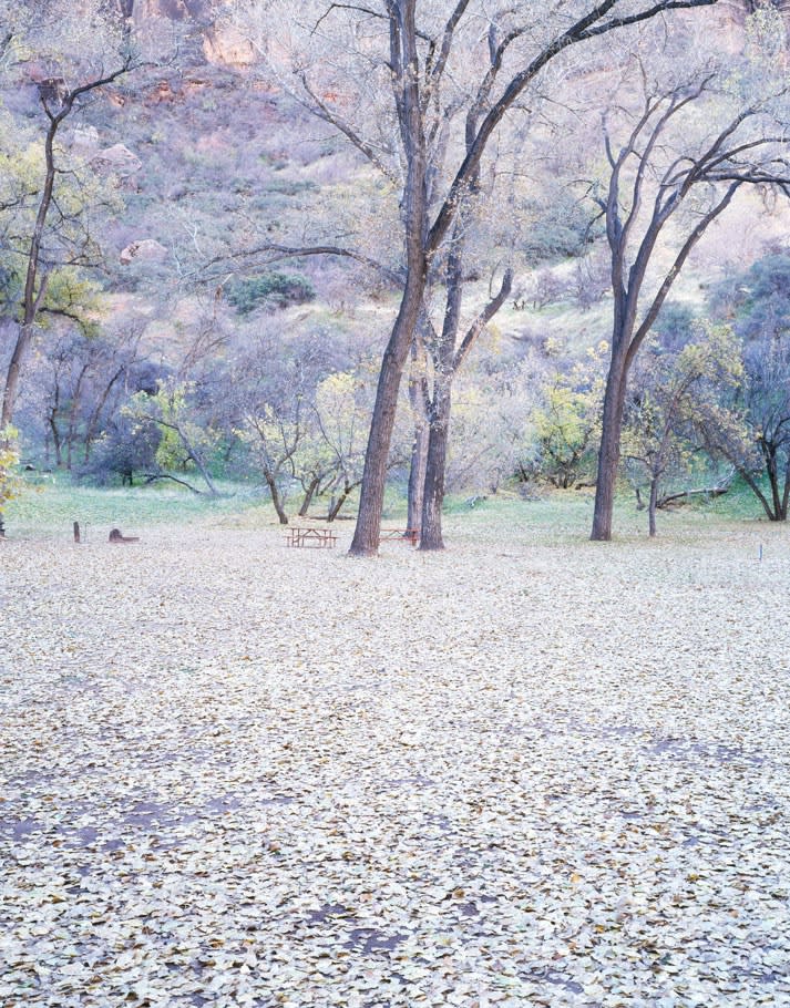 Misha de Ridder, Angels Landing, 2005