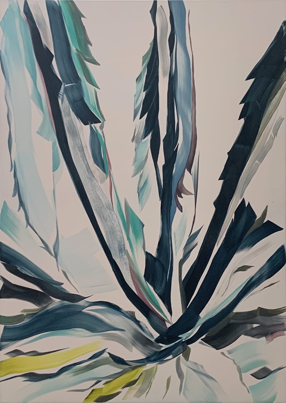 Marjolein Rothman, Agave VIII, 2019