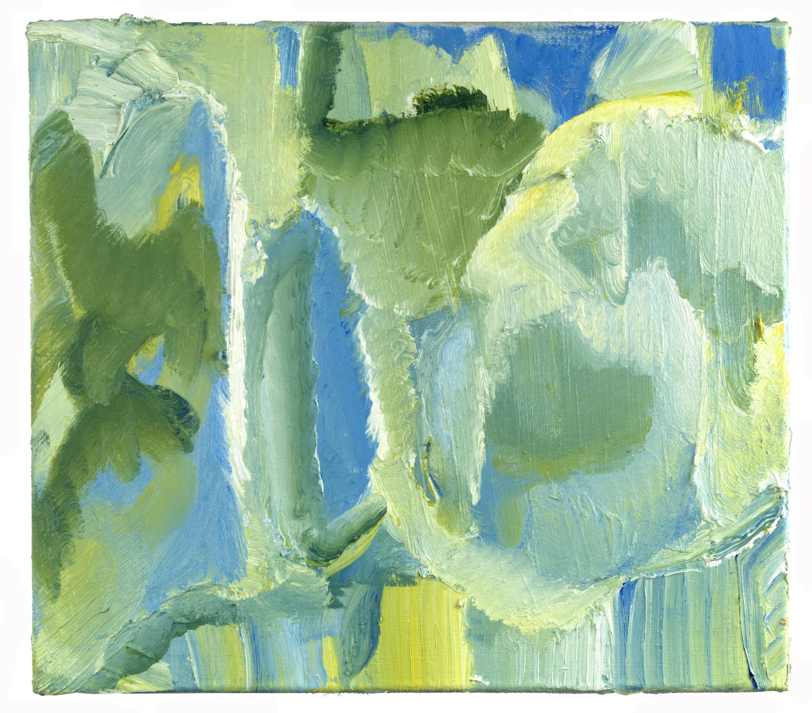 Bettie van Haaster, vlinders (butterflies), 2018