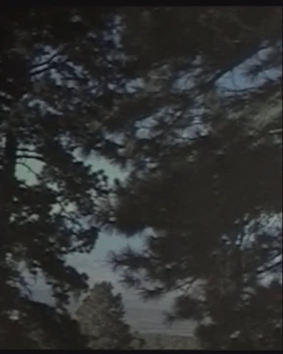 Rob Johannesma, Untitled, 1998