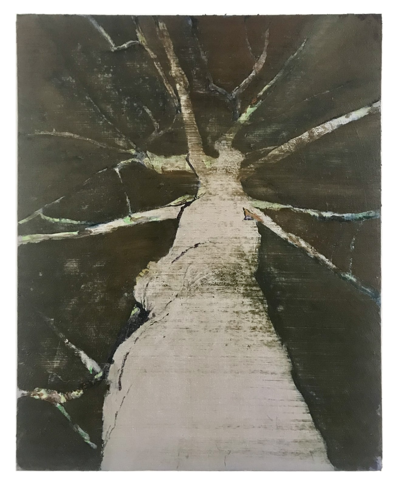 Arjan van Helmond, Tree #27, 2022