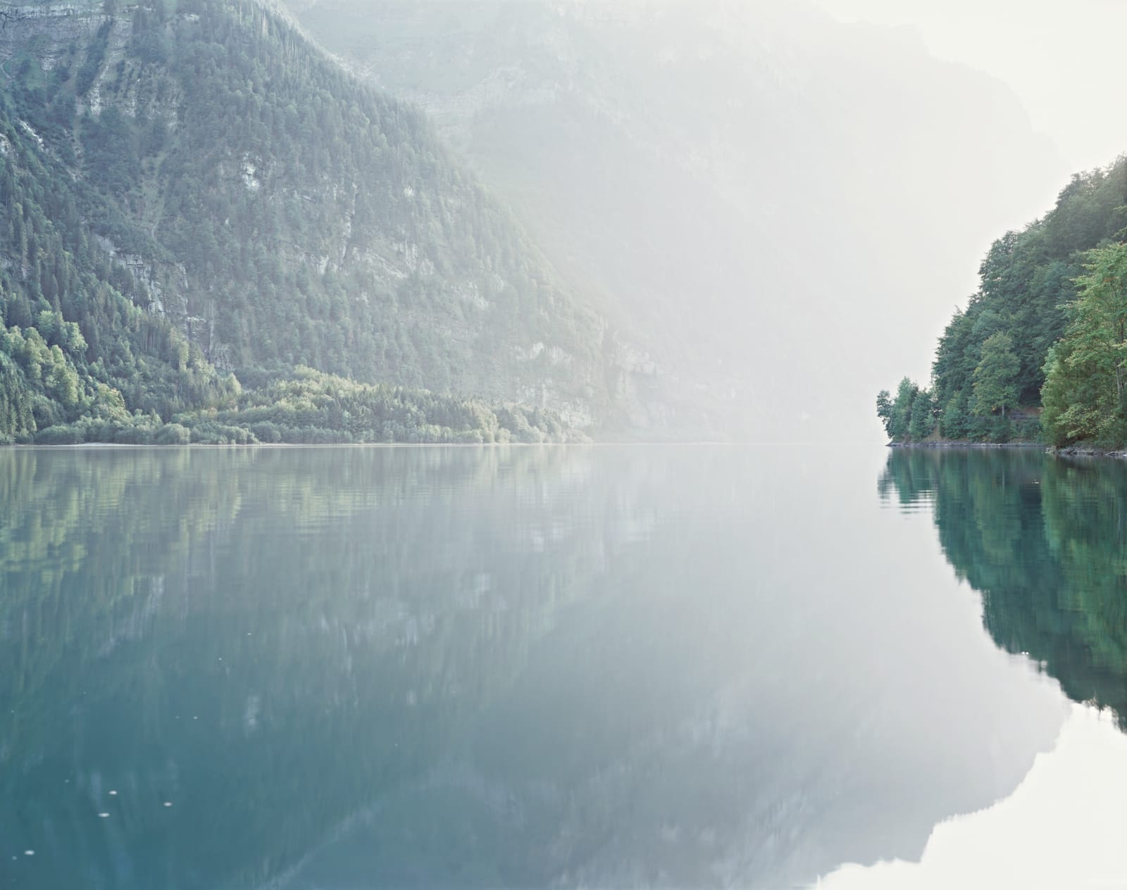 Misha de Ridder, Bärentritt, 2009