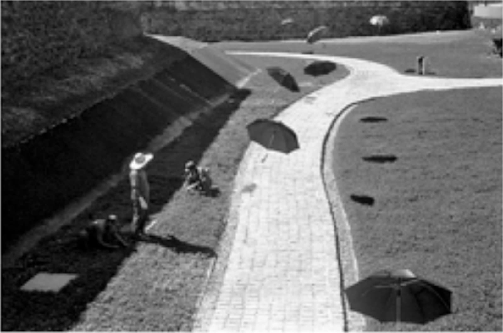 Rens Horn, Forte do Presépio, Belem, Brazil, 2008