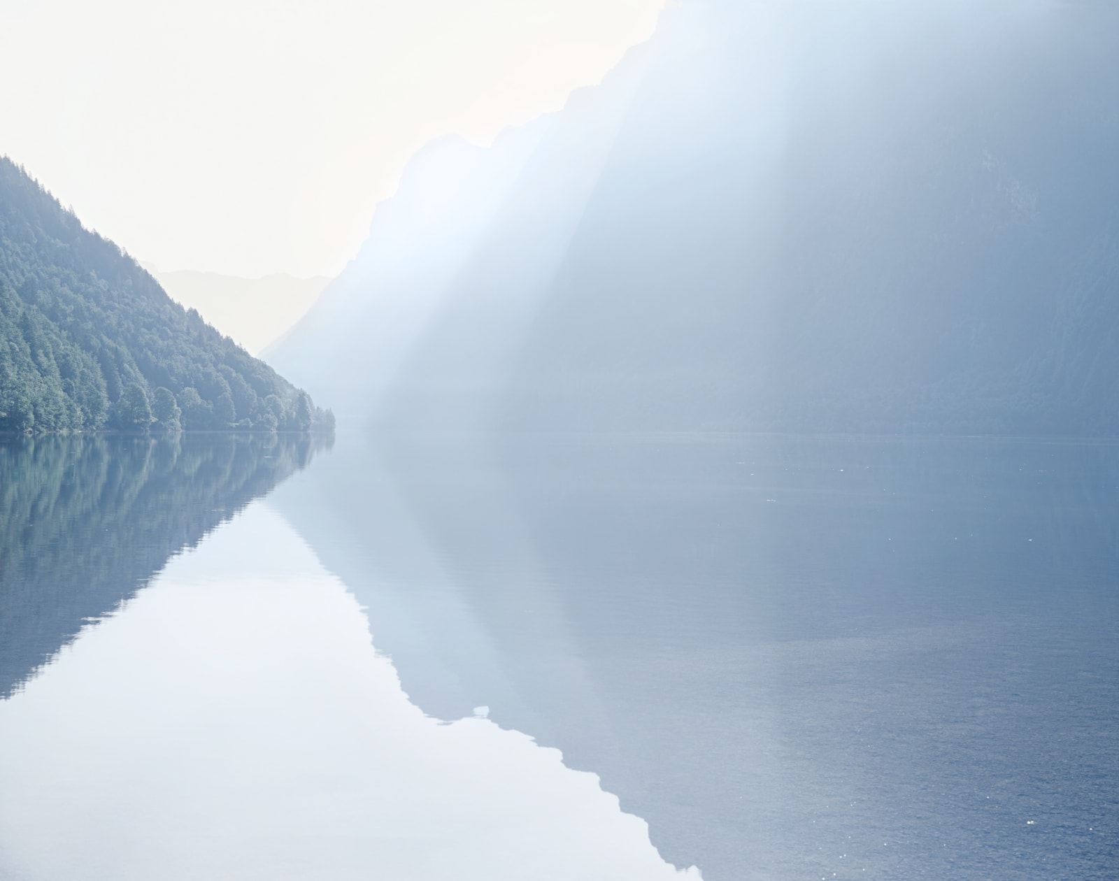 Misha de Ridder, Wissen Brünnen , 2009