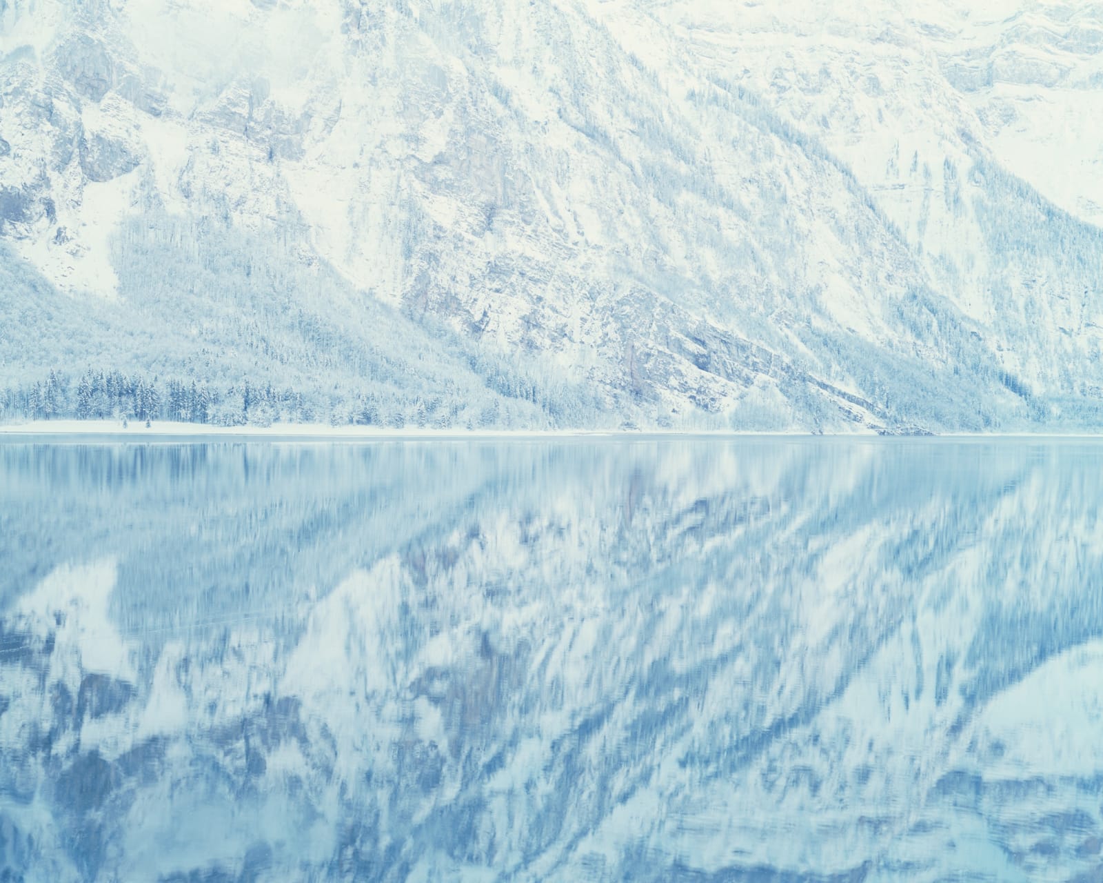 Misha de Ridder, Ahoren, 2011