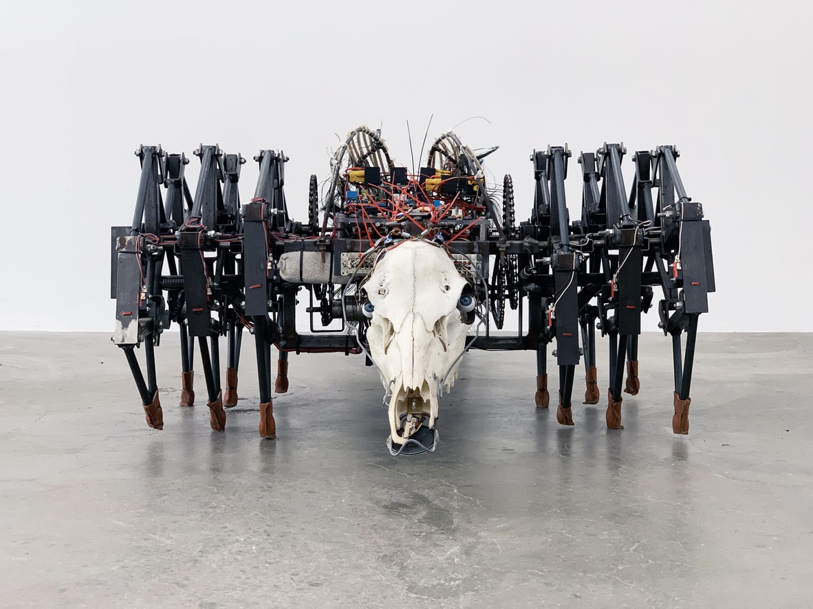 Jelle Korevaar, AS, 2018